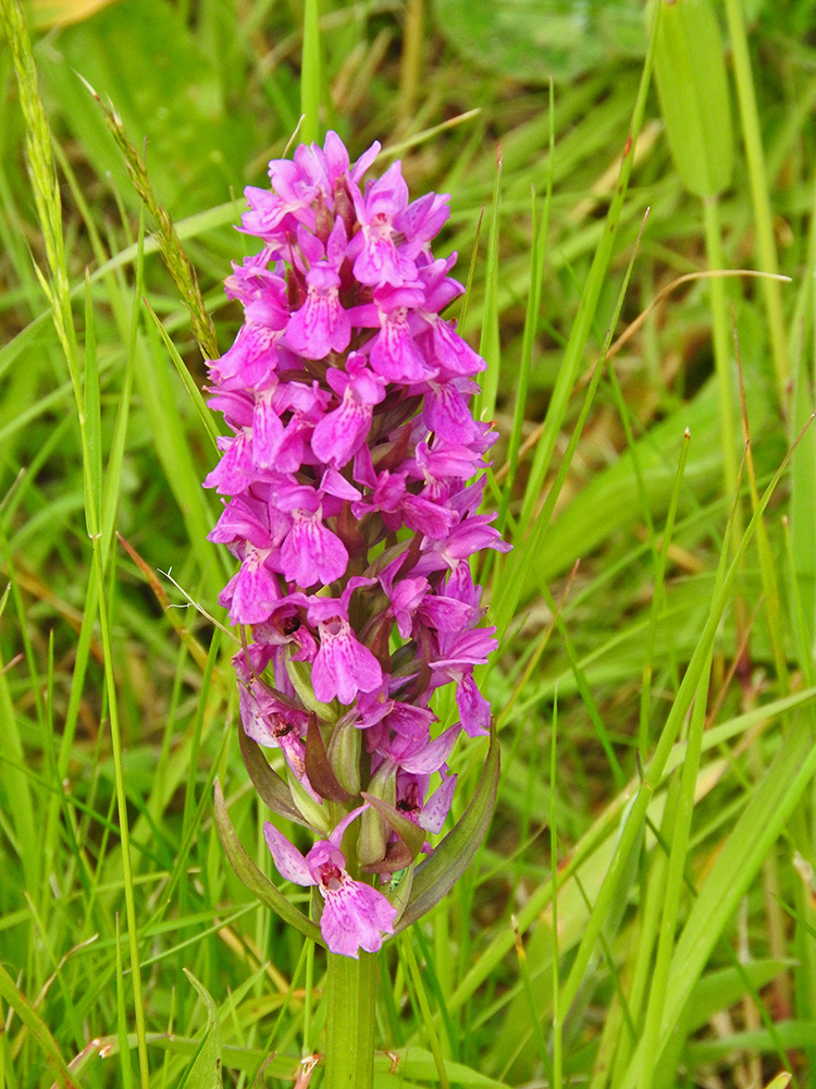 DSCN0576.jpg