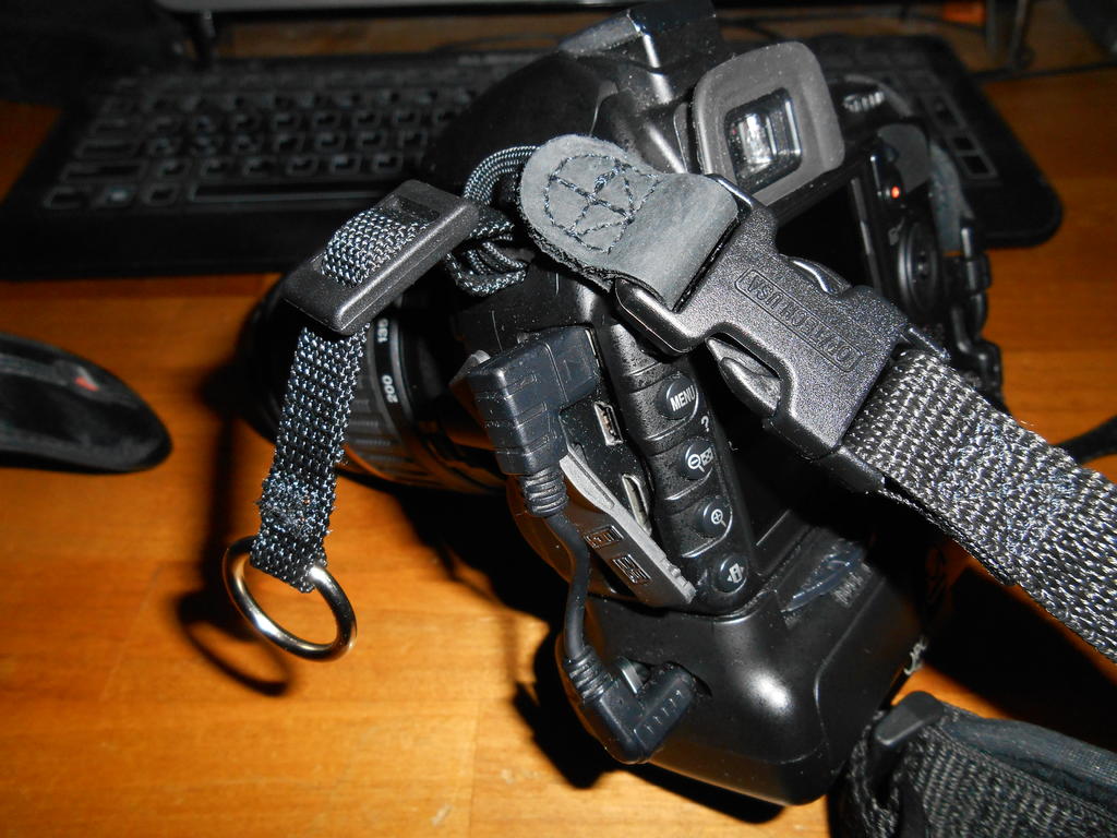 DSCN0600.jpg