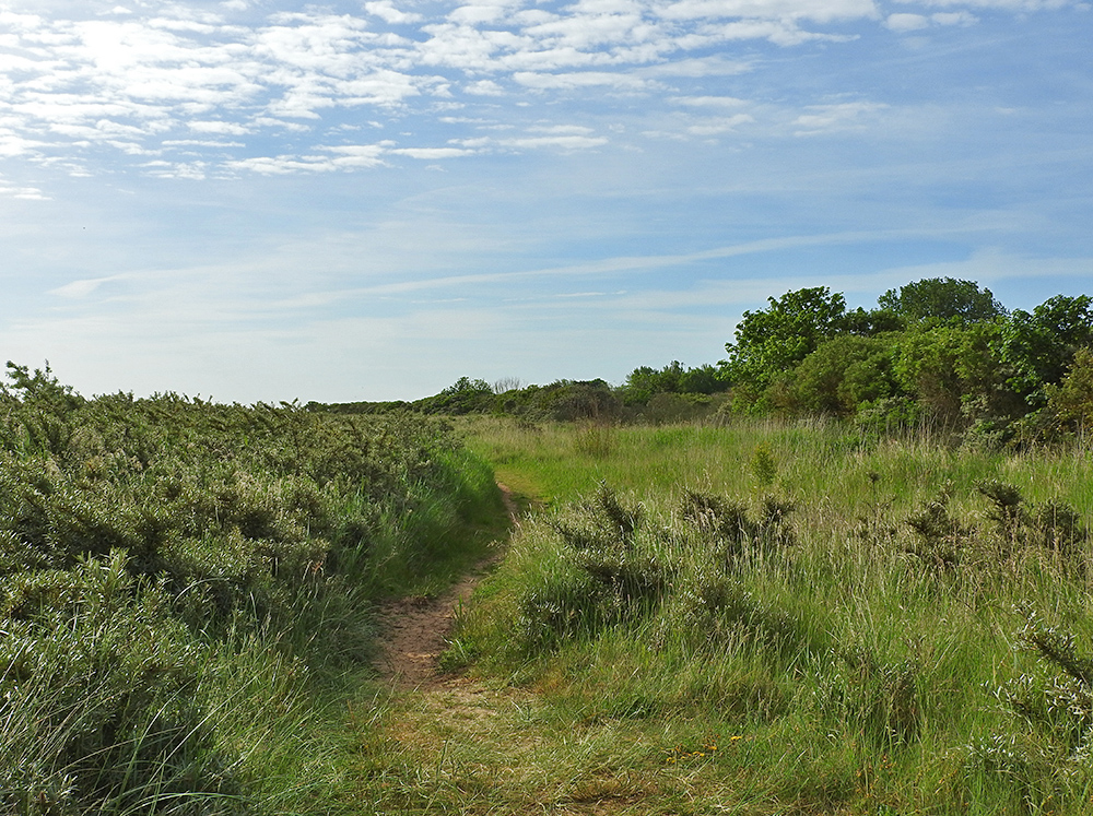 DSCN0608.jpg