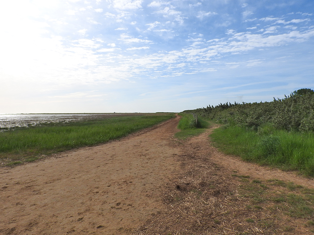 DSCN0614.jpg