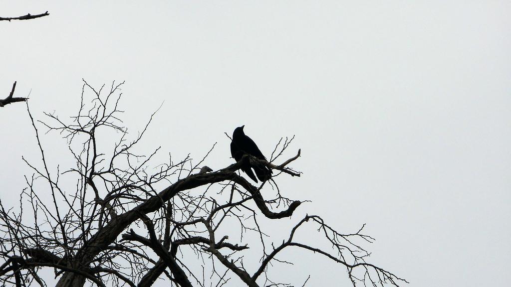 DSCN0632.jpg