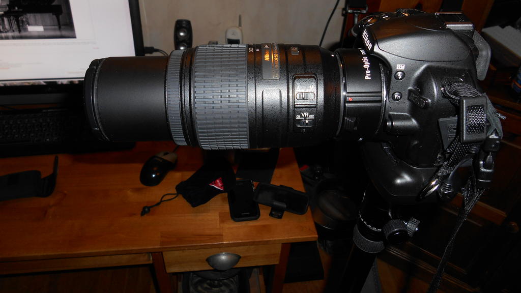 DSCN0656.jpg