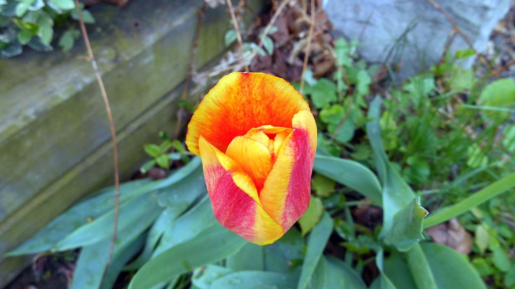 DSCN0675.jpg