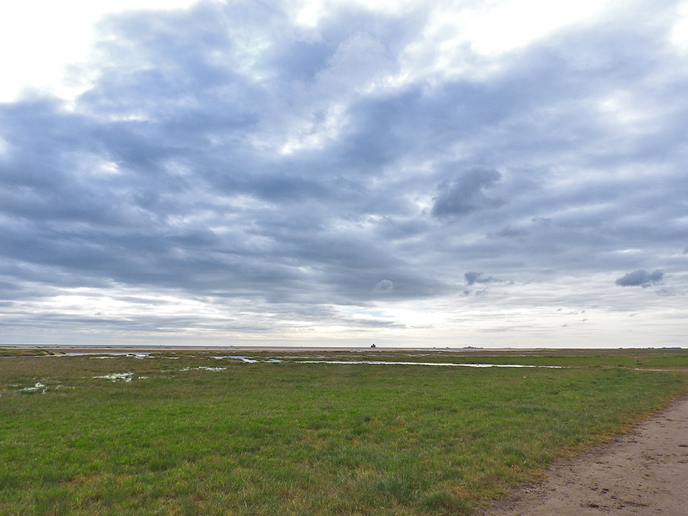 DSCN0677.jpg