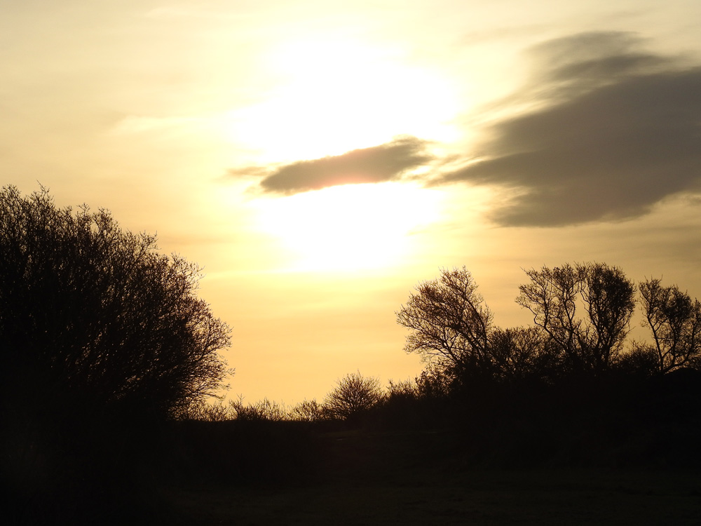 DSCN0699o.jpg