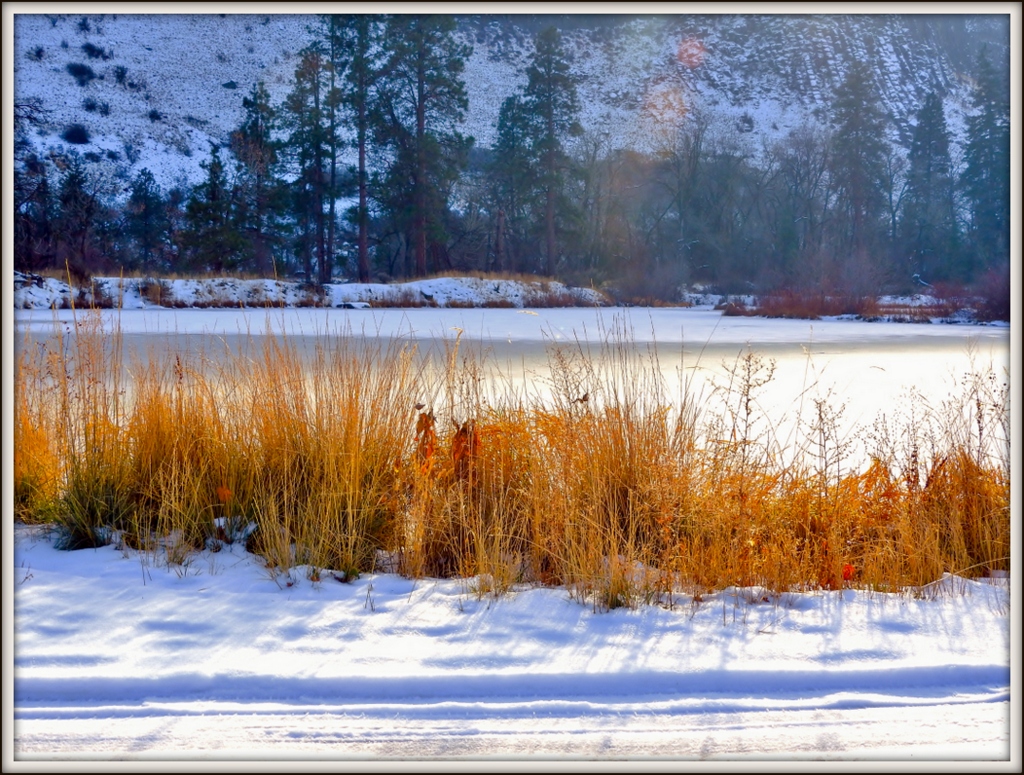 DSCN0703.jpg