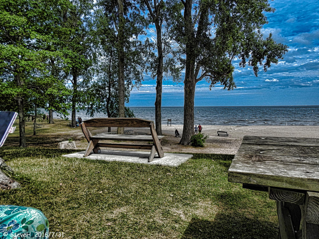 DSCN0705.jpg