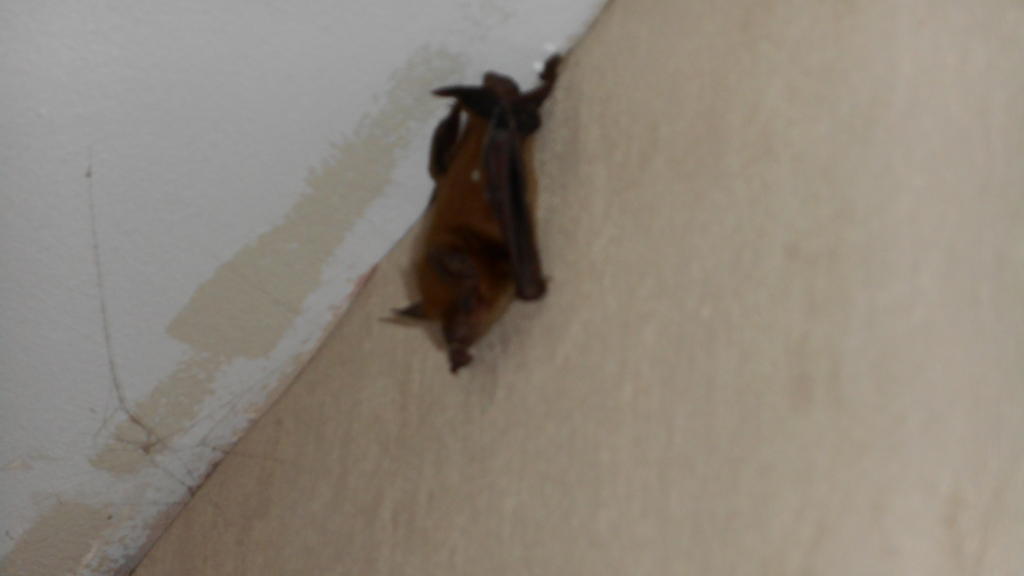 DSCN0722.jpg