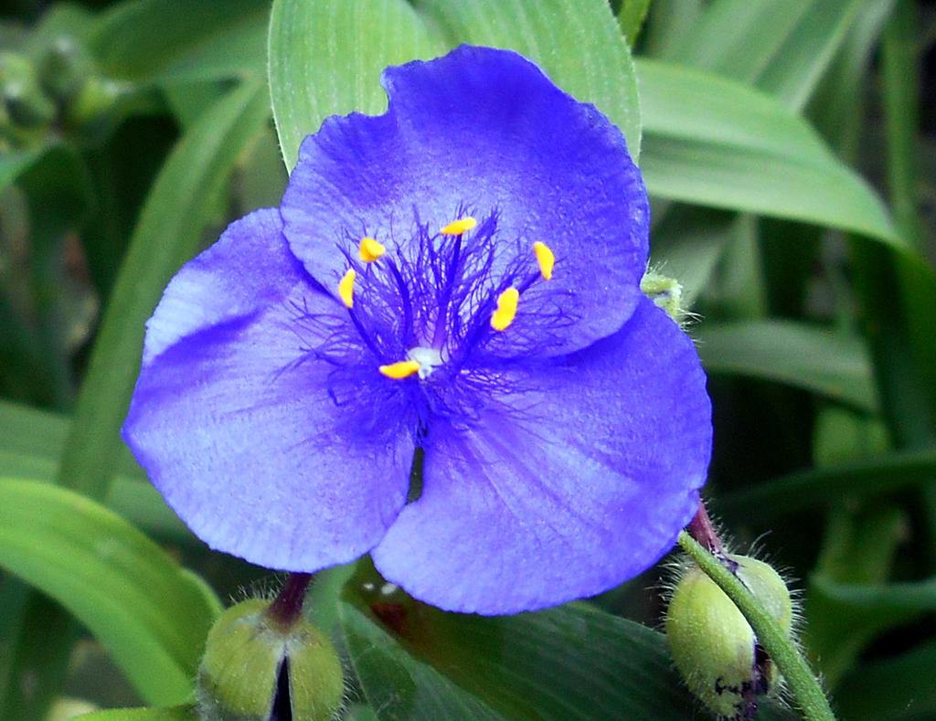 DSCN0744.jpg
