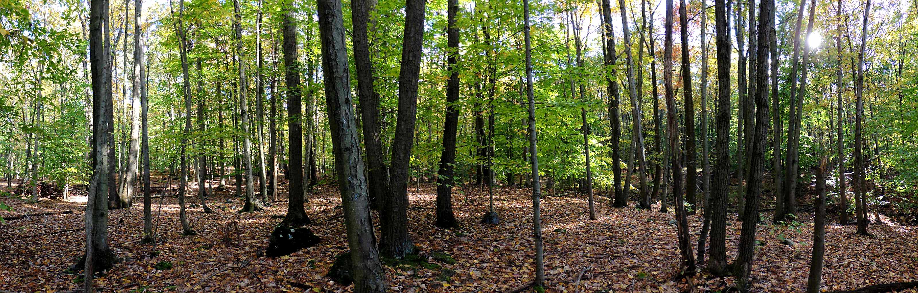 DSCN0748.JPG