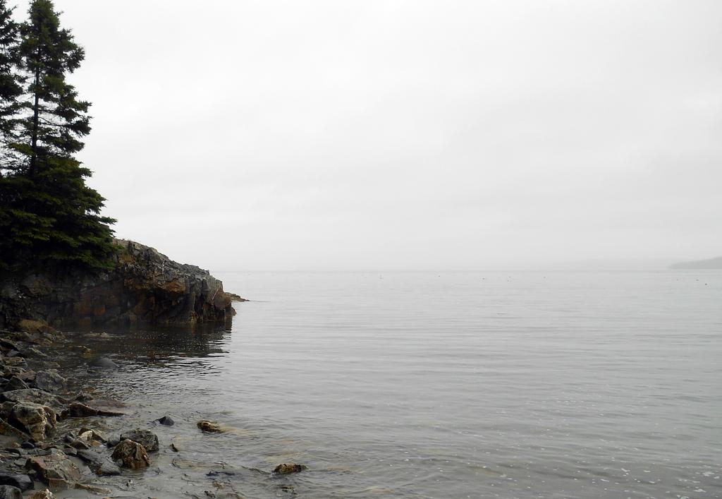 DSCN0765.jpg