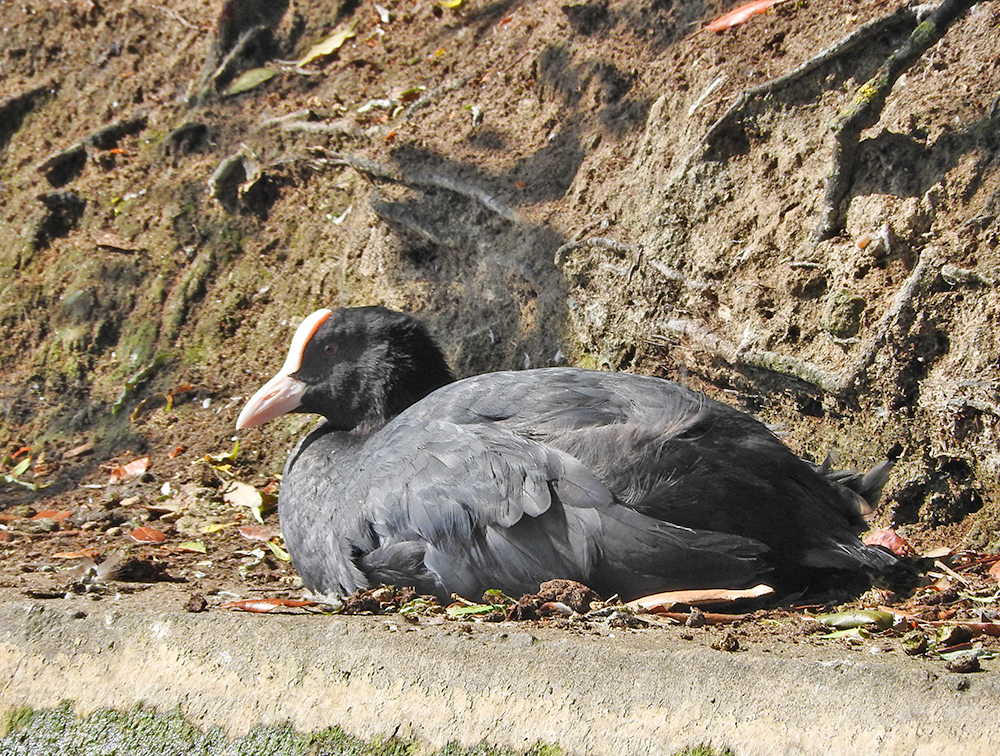 DSCN0777.jpg