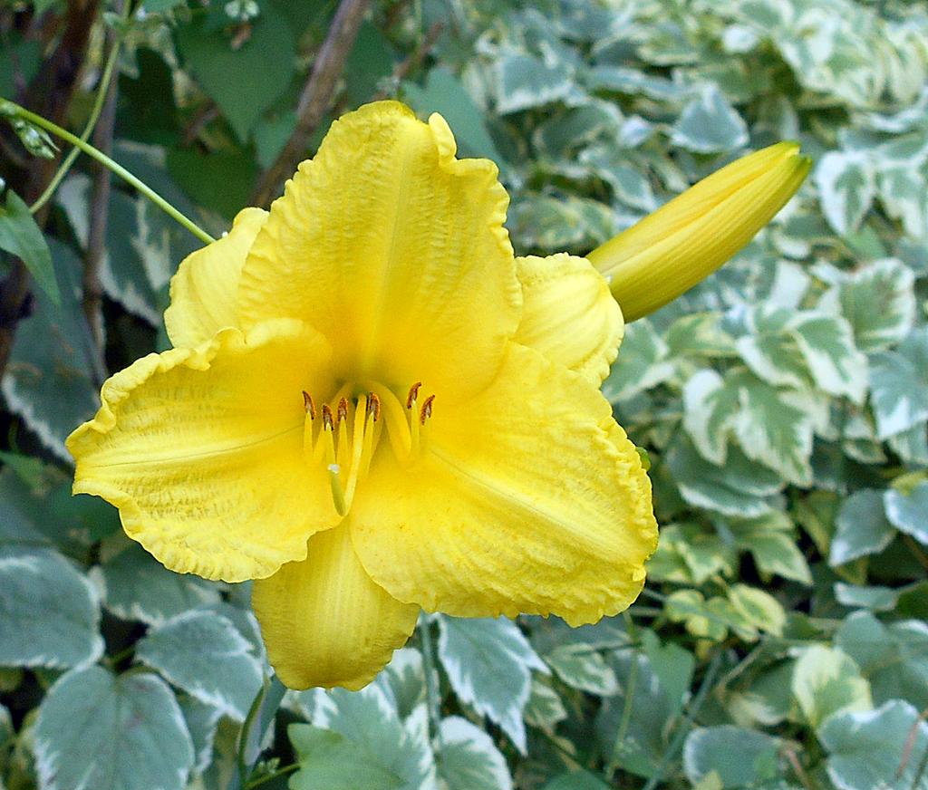 DSCN0785.jpg