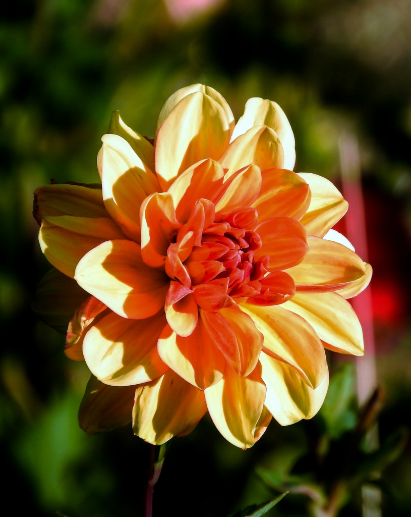 DSCN0800.jpg