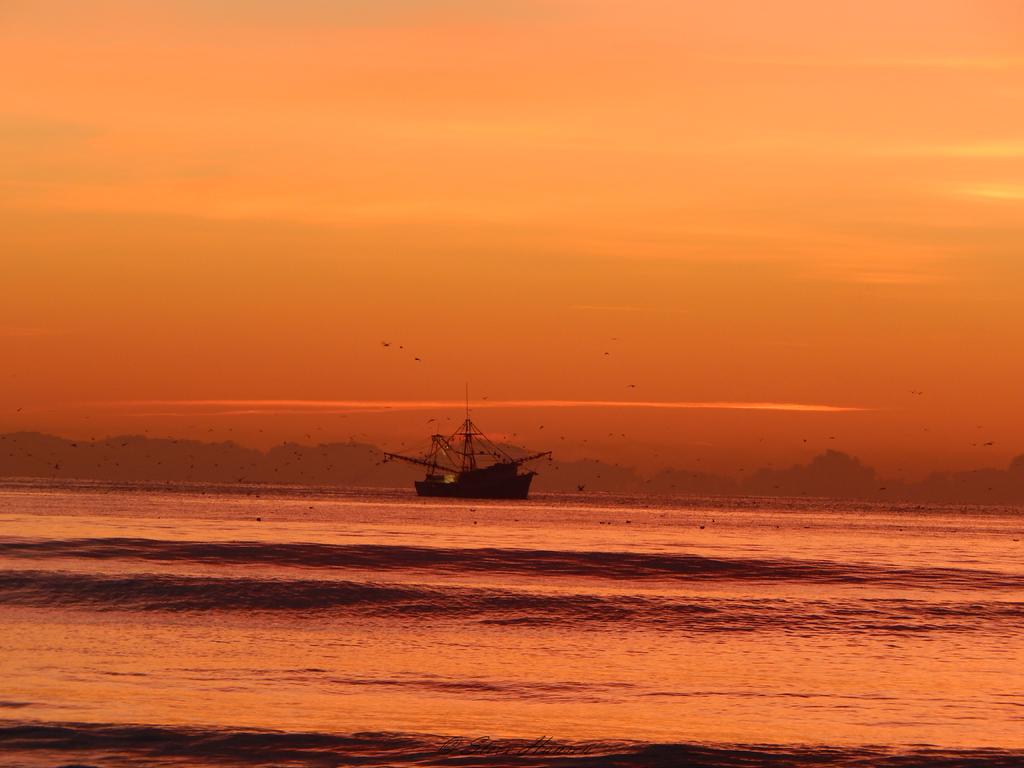 DSCN0805.jpg