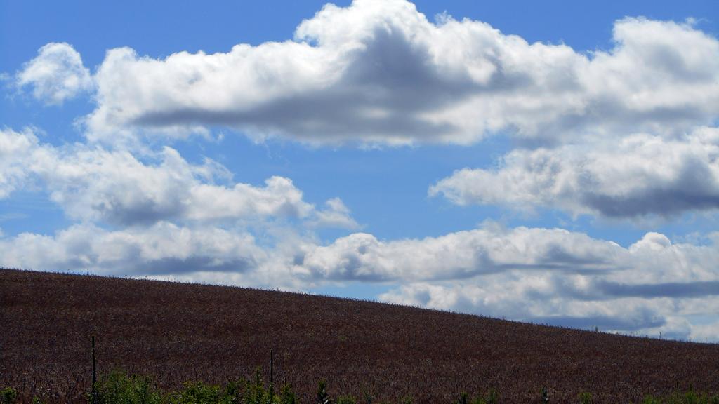 DSCN0828.jpg