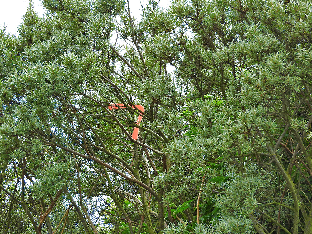 DSCN0830.jpg