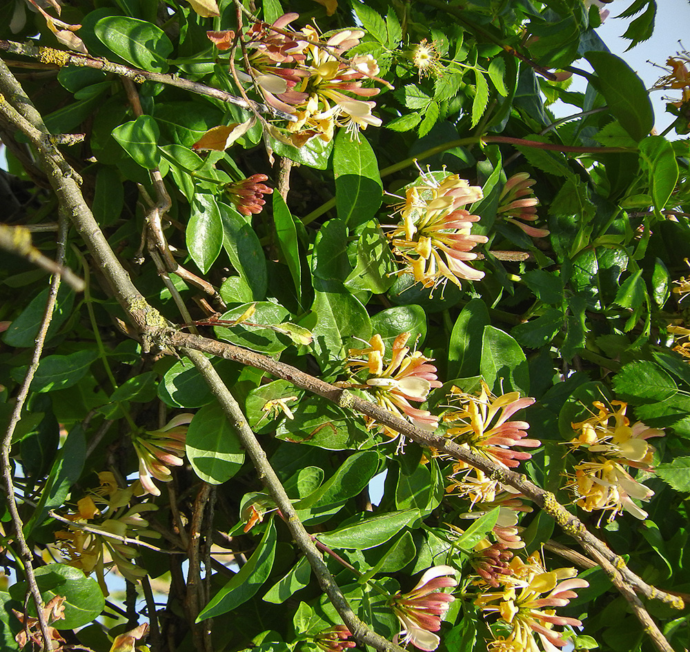 DSCN0846.jpg