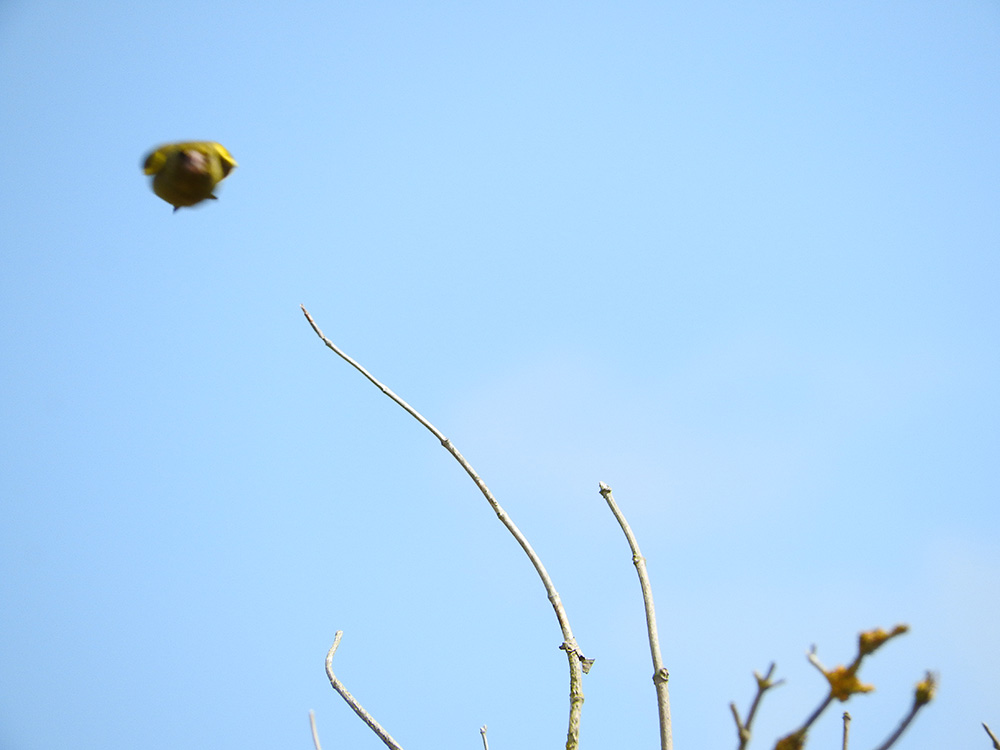 DSCN0851.jpg