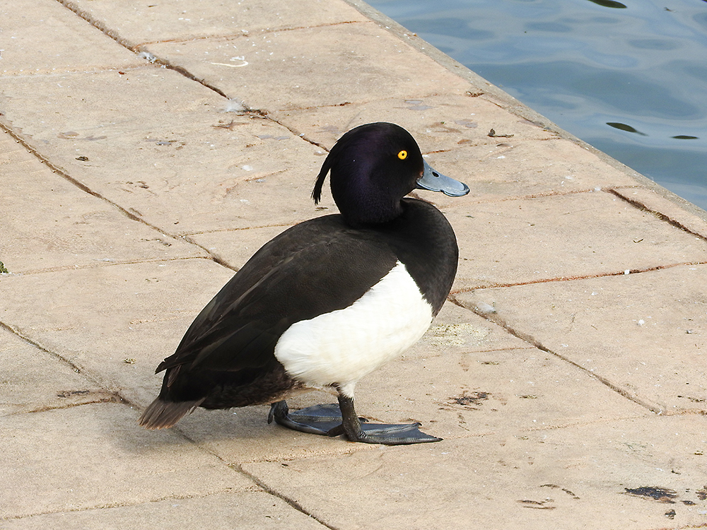 DSCN0860.jpg