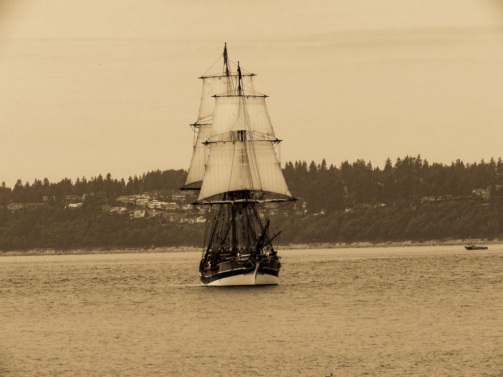 DSCN0896.jpg