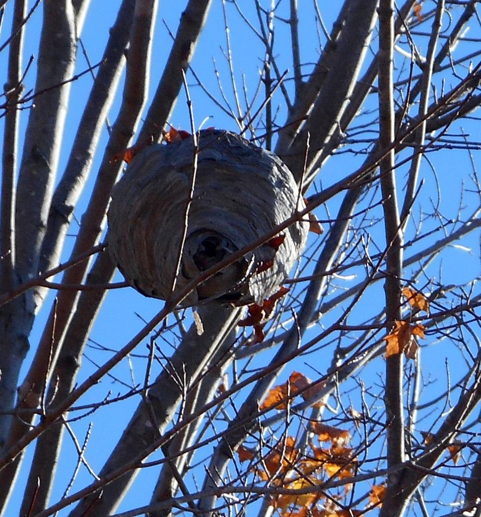DSCN0918.jpg