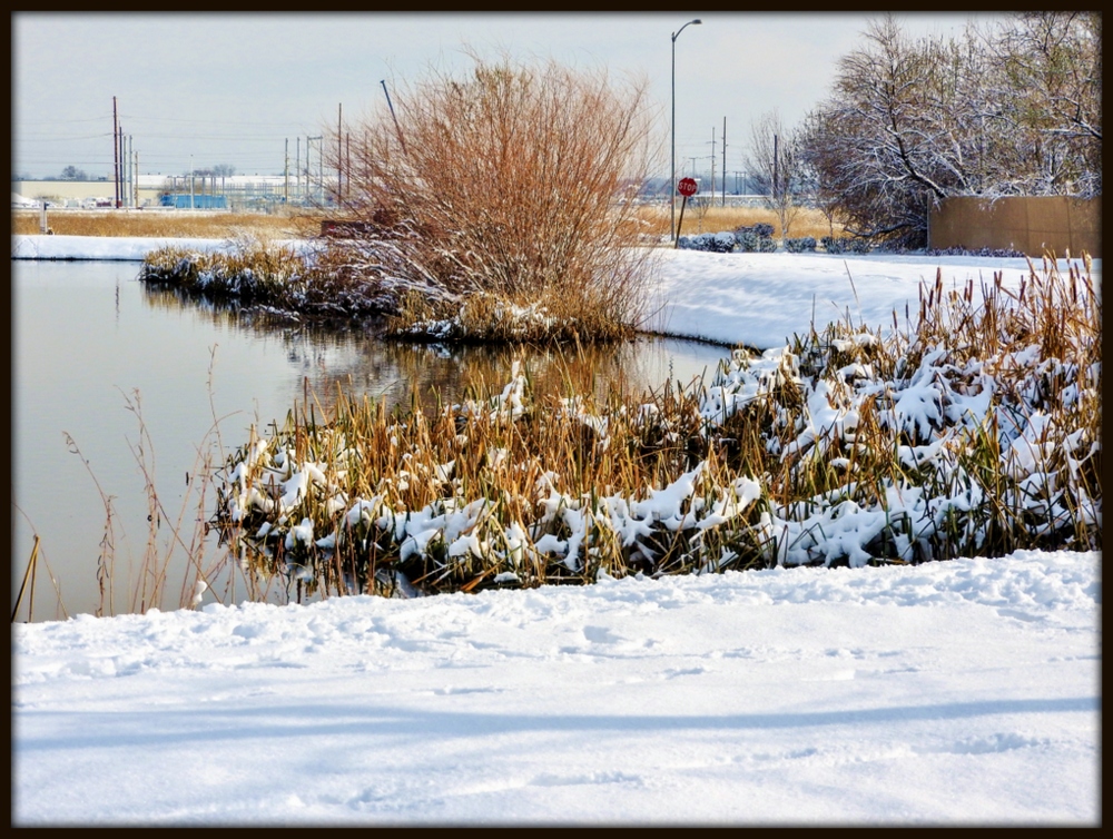 DSCN0937.jpg