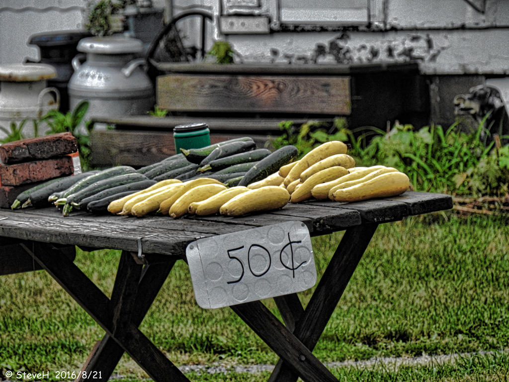 DSCN0945.jpg