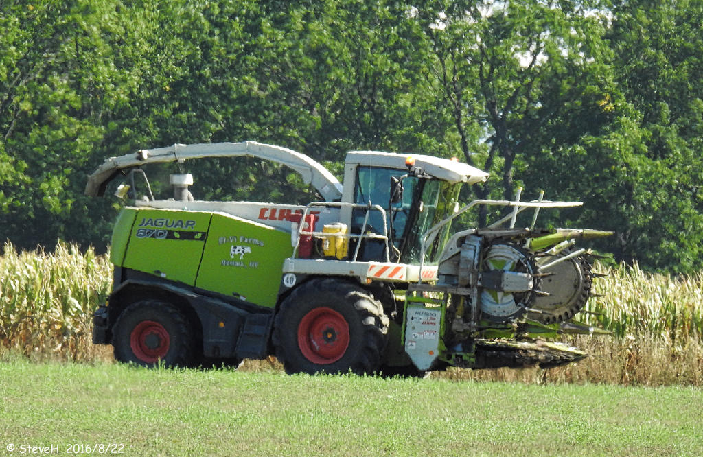 DSCN0952.jpg