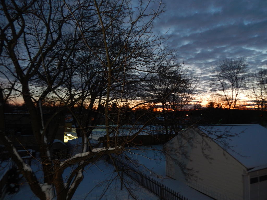 DSCN1007.jpg