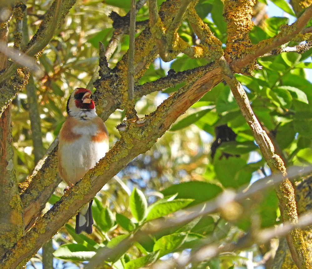 DSCN1021.jpg