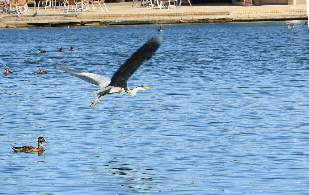DSCN1032.jpg