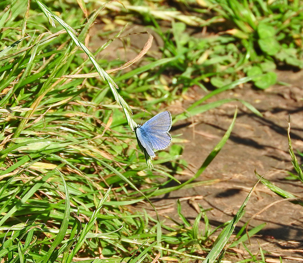 DSCN1037.jpg