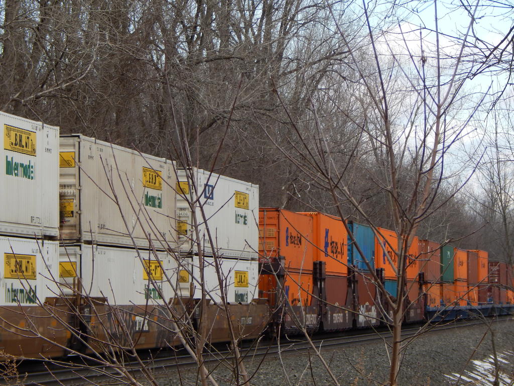 DSCN1039.jpg