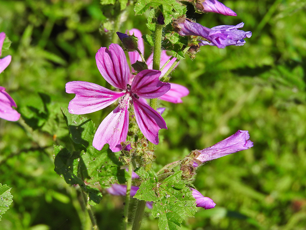 DSCN1041.jpg