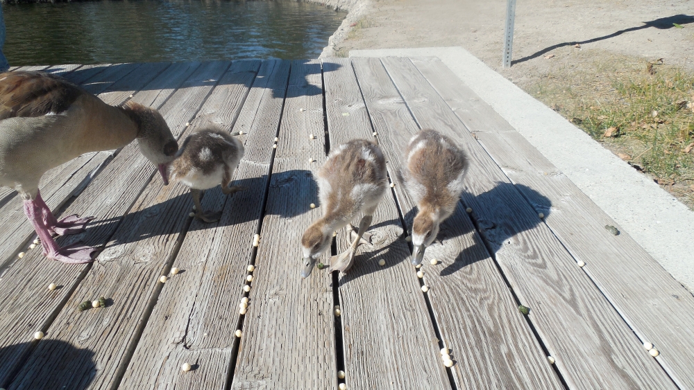 DSCN1077.JPG