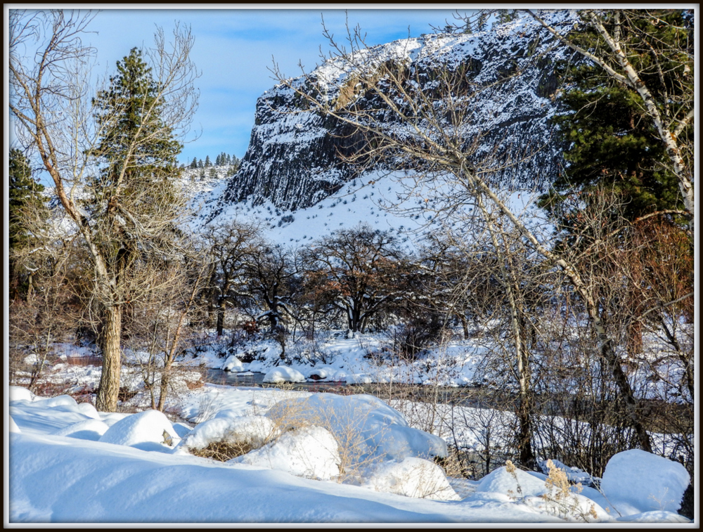 DSCN1084.jpg