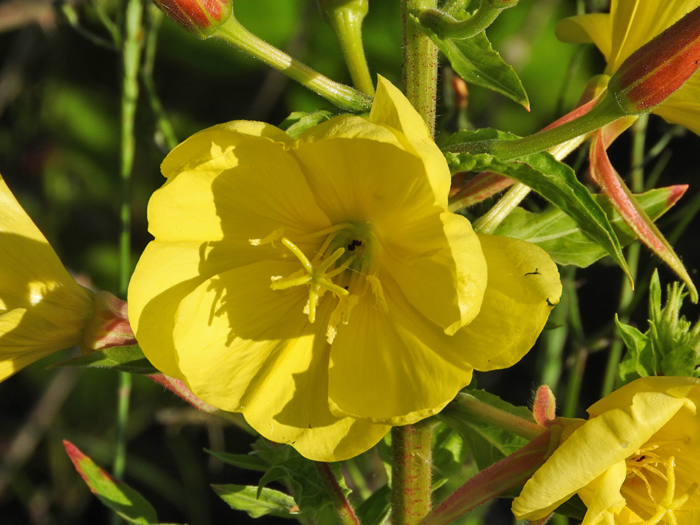 DSCN1089.jpg