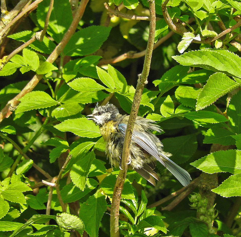 DSCN1095.jpg