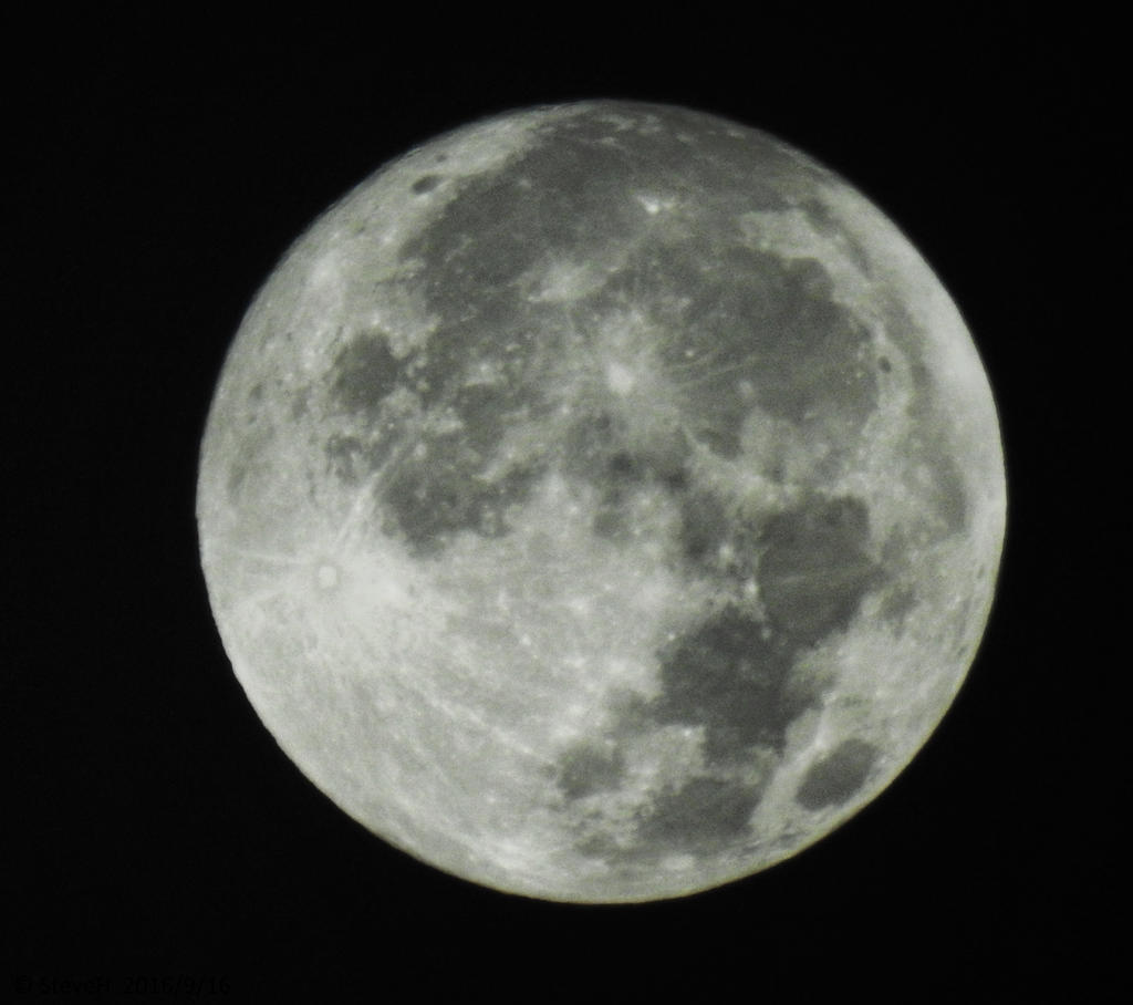 DSCN1105.jpg
