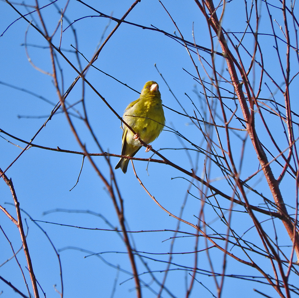 DSCN1107.jpg