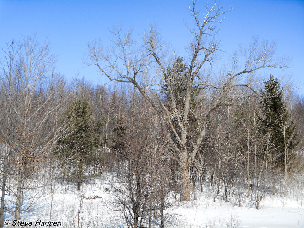 DSCN1124.jpg