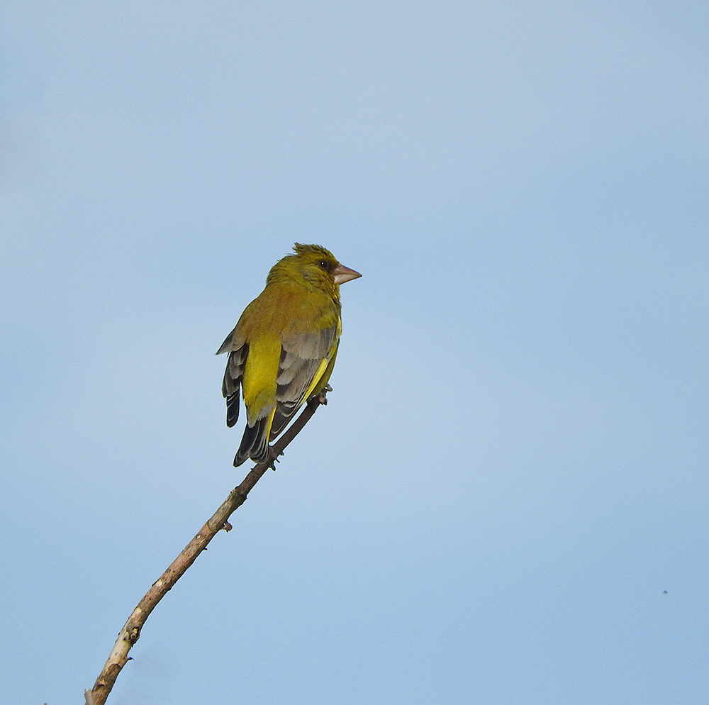 DSCN1125.jpg