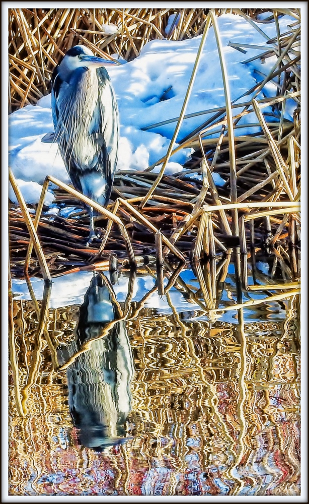 DSCN1126-Edit.jpg