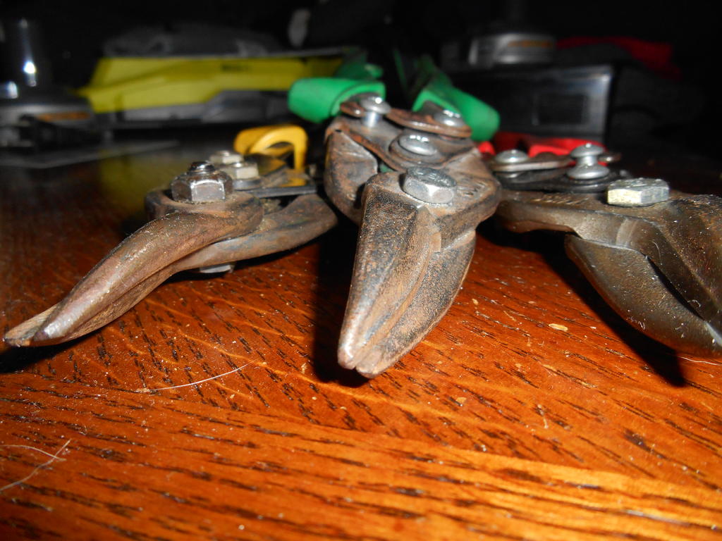 DSCN1131.jpg