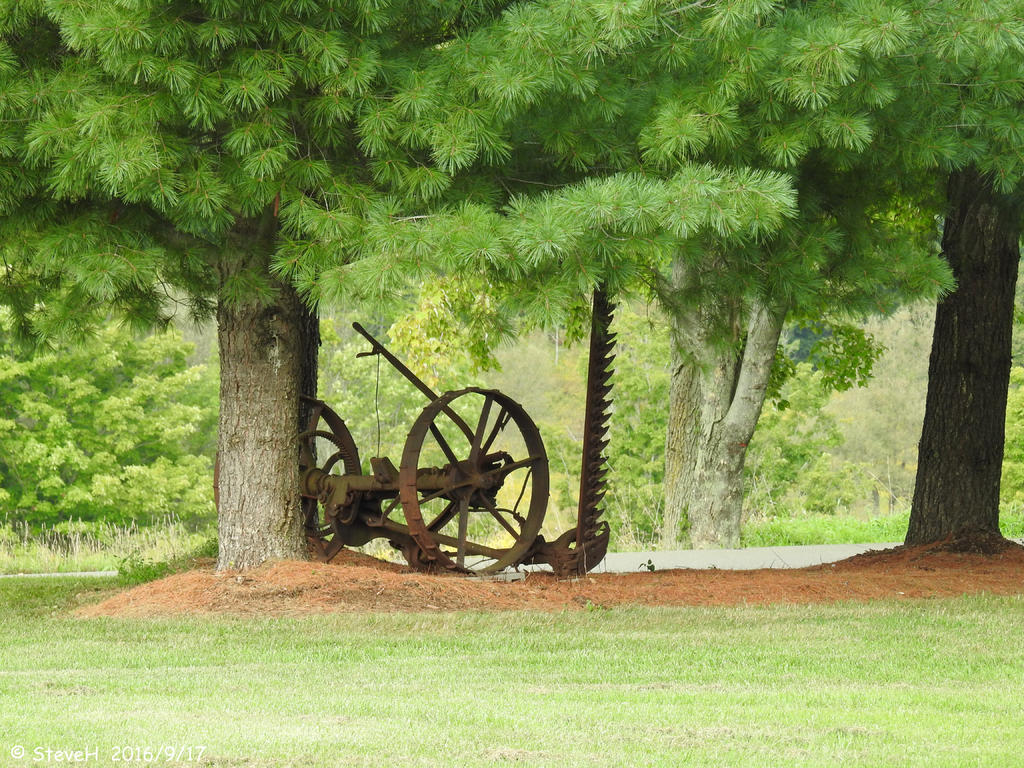 DSCN1139.jpg