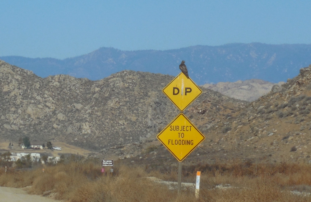 DSCN1154.JPG