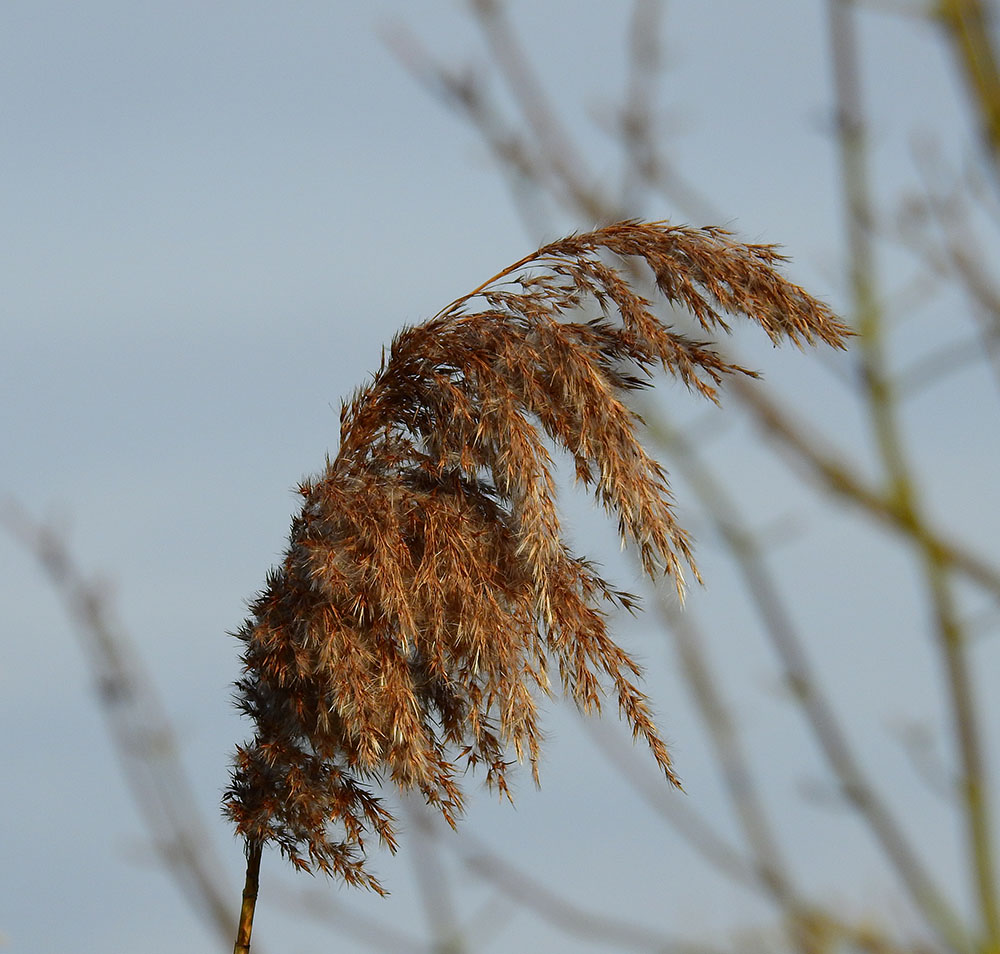 DSCN1155.jpg
