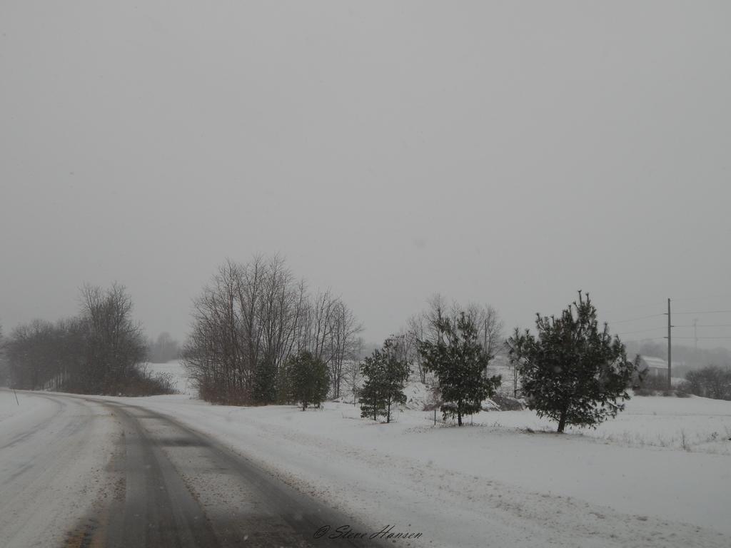 DSCN1156.jpg