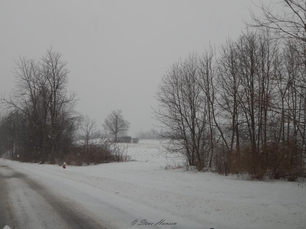 DSCN1158.jpg